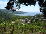 Sentier de la vanille